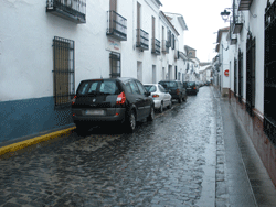 Pregón de carnaval 2010