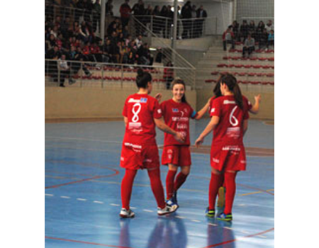 El Almagro FSF ya conoce los 13 rivales de la pr�xima temporada