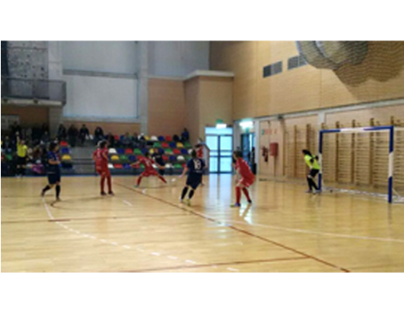 El l�der corta la racha positiva del Almagro FSF