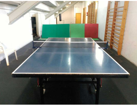 Los aficionados al tenis de mesa ya pueden practicarlo en el 𠇌iudad de Almagro”