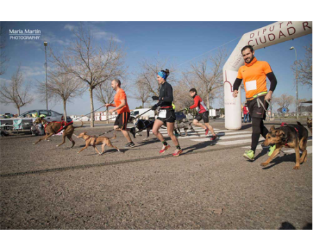 El III Canicross de Almagro re�ne a corredores de varios puntos de la geograf�a espa�ola