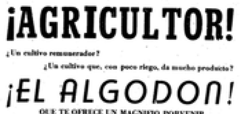  Cosas olvidadas de Almagro. La algodonera Almagre�a - 8-2-2024