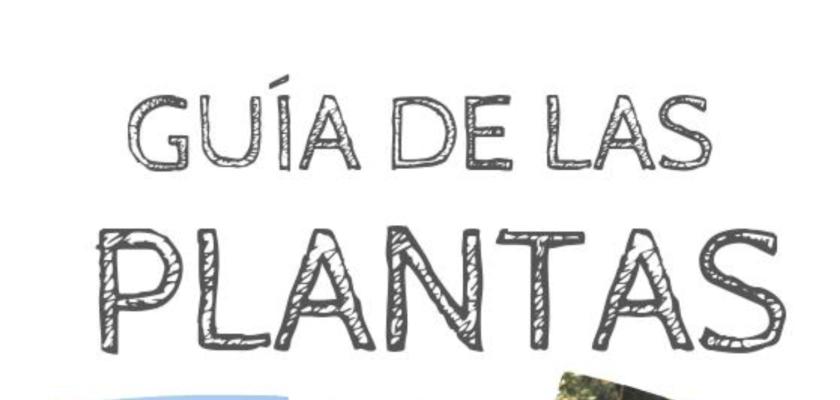 GU�A DE PLANTAS SILVESTRES DE ALMAGRO - LUIS DE PABLOS ALCAZAR - Doctor en Biolog�a