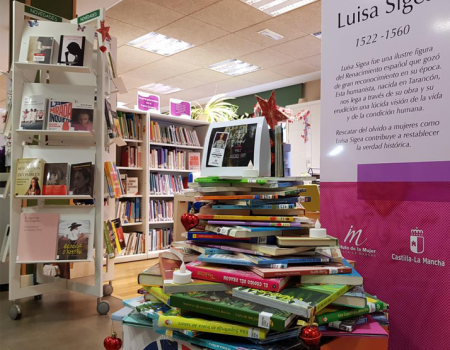 El Instituto de la Mujer recoge en uno de sus boletines navide�os los libros m�s le�dos este a�o entre todos sus fondos bibliogr�ficos 