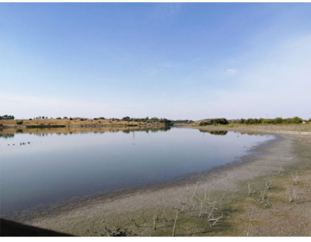 Licitan la redacci�n de proyecto para abastecer de agua al Campo de Calatrava
