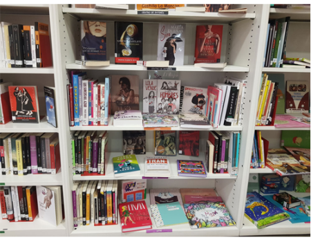 El Centro de Documentaci�n y Biblioteca Luisa Sigea publica 34 recomendaciones literarias por el D�a Internacional del Orgullo LGTBI 