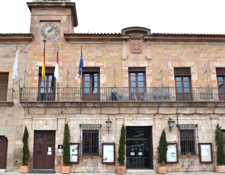 El Pleno aprueba definitivamente las bases  para la adjudicaci�n del PAU del sector 4 