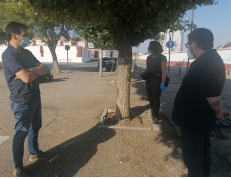 La Concejal�a de Parques y Jardines ha comenzado esta semana con el control de la galeruca con endoterapia para el centenar de olmos afectados