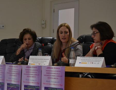 El Centro de la Mujer aborda las nuevas manifestaciones de la violencia de g�nero con  t�cnicos de los distintos �mbitos de intervenci�n con una v�ctima