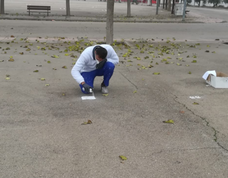 El mercadillo abrir� al cien por cien este mi�rcoles 