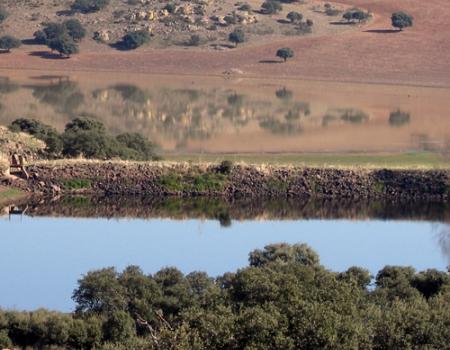 Las Juntas de Explotaci�n de las Masas de Agua Subterr�nea Campo de Calatrava y Campo de Montiel proponen el R�gimen de Extracciones para la Campa�a del 2022