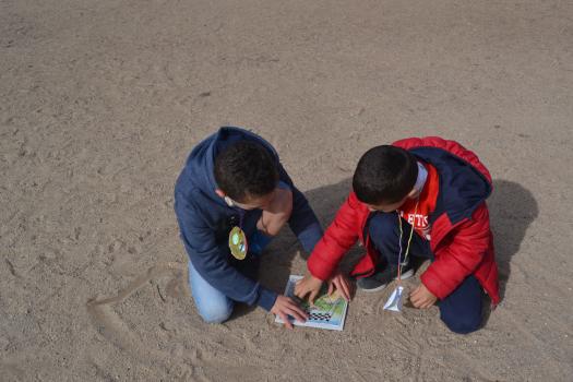 Los colegios celebran el D�a Escolar de la Paz y la No violencia