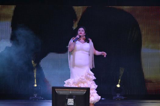 Gala Ben�fica de Navidad