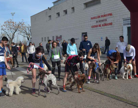 Una treintena de perros participa en la IV Canicross de Almagro