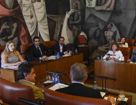 Mar�a Jes�s Villaverde asiste a su primer pleno de la Diputaci�n Provincial de Ciudad Real