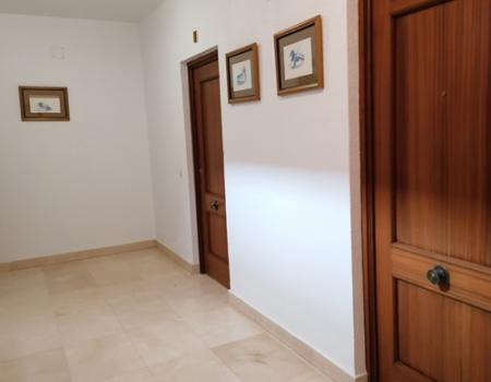 El Gobierno refuerza las medidas de reactivaci�n econ�mica para hacer frente al impacto del Covid-19 en los �mbitos de transporte y vivienda