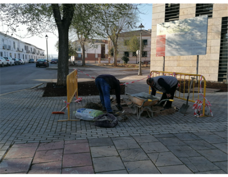 Abierto el plazo de solicitud para participar en el Plan de Empleo de la Junta de Comunidades de Castilla-La Mancha 