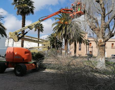 El segundo turno del Plan Extraordinario de Empleo arranca el pr�ximo lunes 