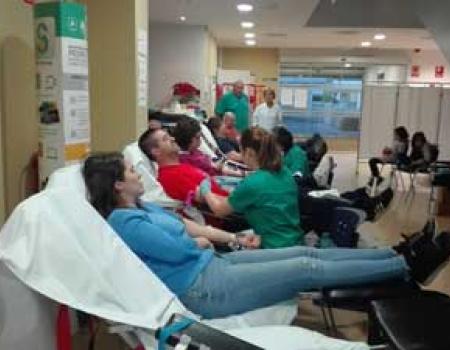 247 personas han donado sangre en la �ltima extracci�n en Almagro