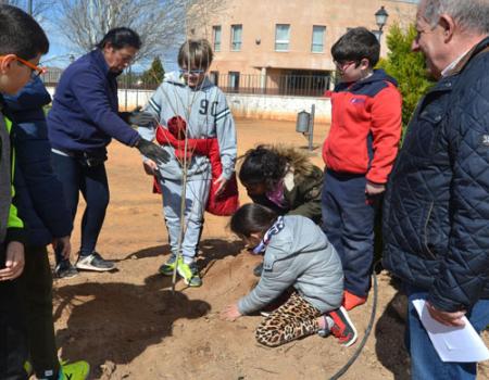 Los alumnos de 5� de Primaria del colegio Miguel de Cervantes plantan �rboles en el parque situado junto a la residencia de mayores
