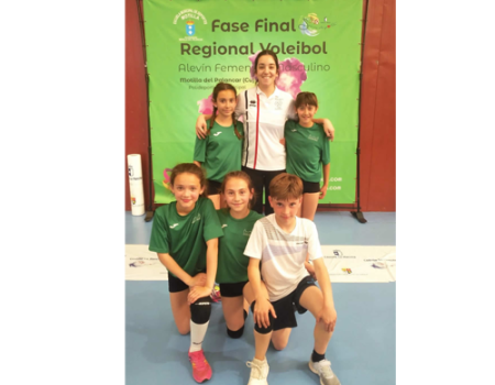 T�tulo provincial para el alev�n de voleibol almagre�o