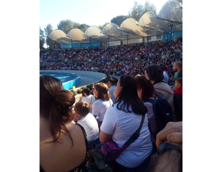 Los chavales de Amfisa visitaron el zoo de Madrid