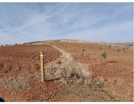 La ruta del Navajo y el volc�n de la Estrella se ha se�alizado  
