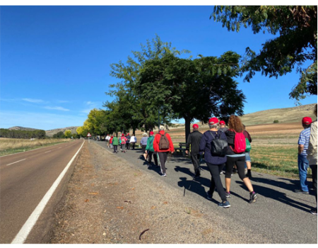 Mayores del centro del d�a disfrutaron de una ruta senderista en Poblete