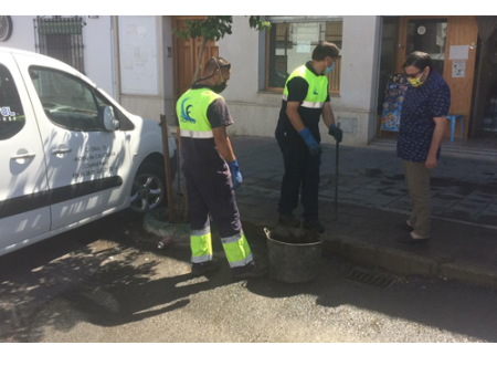 El Ayuntamiento realiza labores de mantenimiento en la red de saneamiento