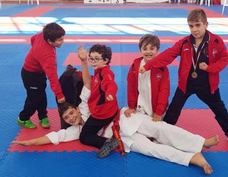 Lluvia de medallas para los almagre�os en el Regional por Equipos de Karate