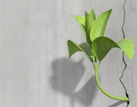 “LOS BUENOS SE QUEJAN, LOS MEJORES SE ADAPTAN” (Yibing Cao)