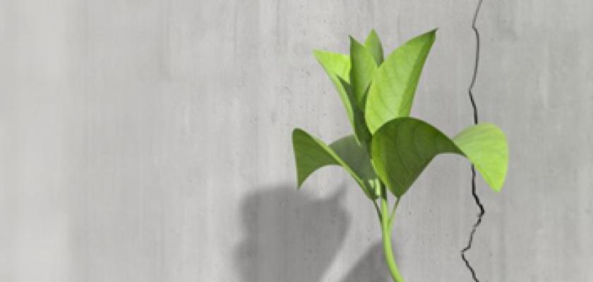 “LOS BUENOS SE QUEJAN, LOS MEJORES SE ADAPTAN” (Yibing Cao)