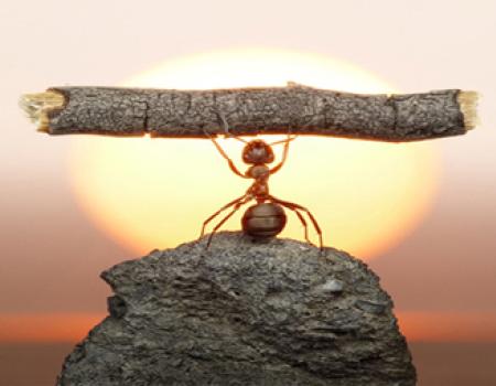 La debilidad de hoy ser� la fortaleza de ma�ana Todo lo que hoy te debilita, ma�ana ser� tu fortaleza 