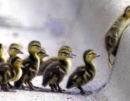 El esp�ritu de superaci�n es el verdadero yo.  El esp�ritu, la voluntad de ganar y de superaci�n   son las cosas que perduran.  (Marcus T.Cicero)