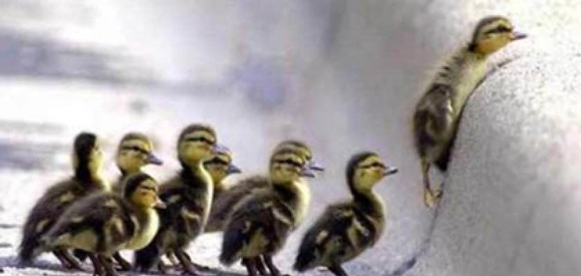 El esp�ritu de superaci�n es el verdadero yo.  El esp�ritu, la voluntad de ganar y de superaci�n   son las cosas que perduran.  (Marcus T.Cicero)