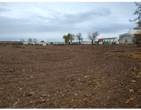 El plazo de solicitud de los huertos ecol�gicos municipales est� abierto hasta el 15 de diciembre 