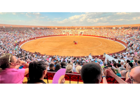 Triunfo de Castella, Manzanares y Roca Rey en una tarde con un gran ambiente y mucho p�blico en los tendidos