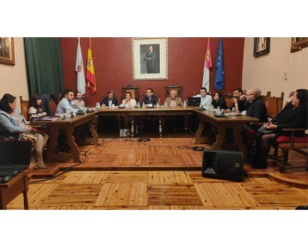 El Pleno aprueba un d�a m�s de mercadillo, el segundo domingo de cada mes