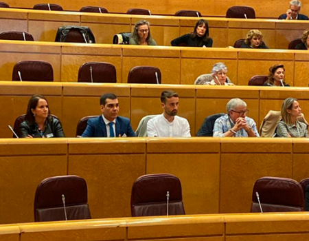 Francisco Javier N��ez reivindica en el Senado una mejor y mayor financiaci�n, haciendo valer que el patrimonio de Almagro es de todos