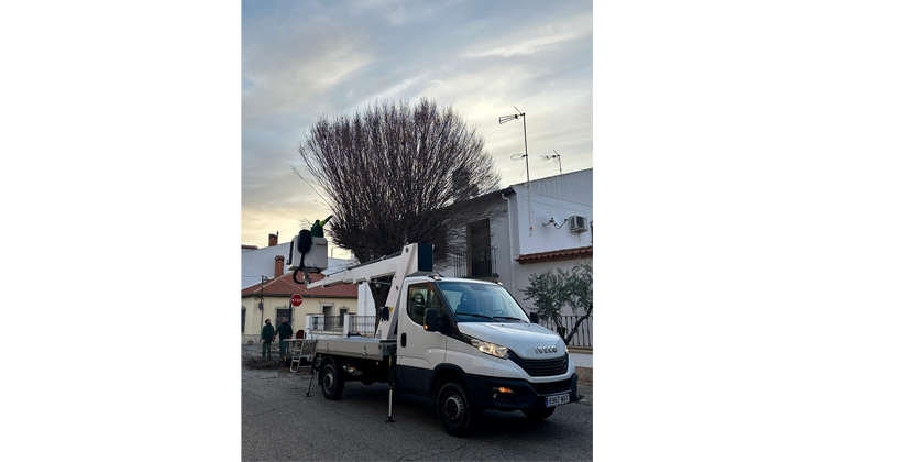 El Ayuntamiento de Almagro inicia la poda del arbolado urbano 