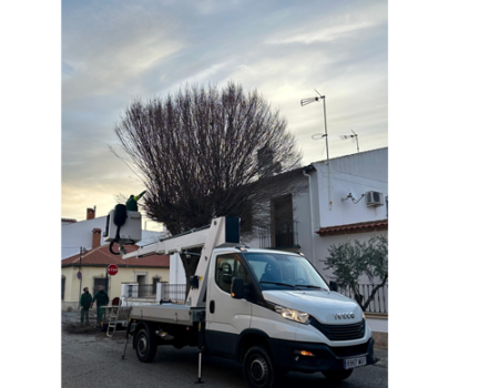 El Ayuntamiento de Almagro inicia la poda del arbolado urbano 