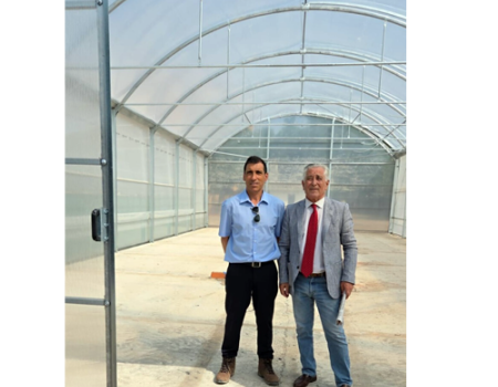 El Ayuntamiento finaliza el nuevo invernadero