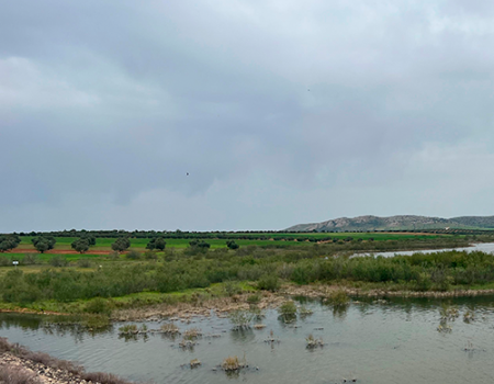 El Ayuntamiento valora positivamente el inicio de las obras de la Tuber�a Manchega para el Campo de Calatrava
