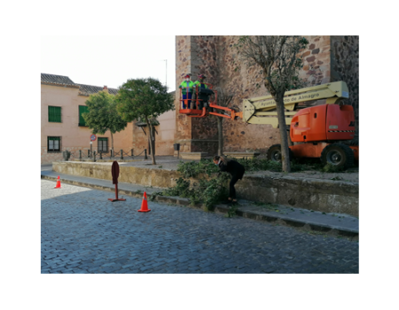 El Ayuntamiento acomete m�s de un centenar de actuaciones de mantenimiento en las calles de la ciudad 