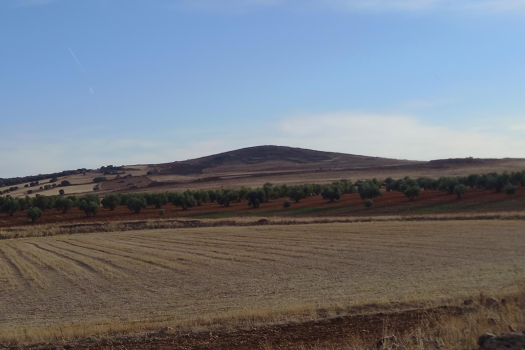 Navajo y Volc�n de la Estrella