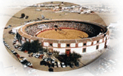 small logo