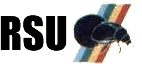 logorsu
