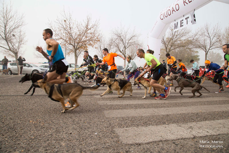 Mucha participación en la Canicross Sanchocan de Almagro