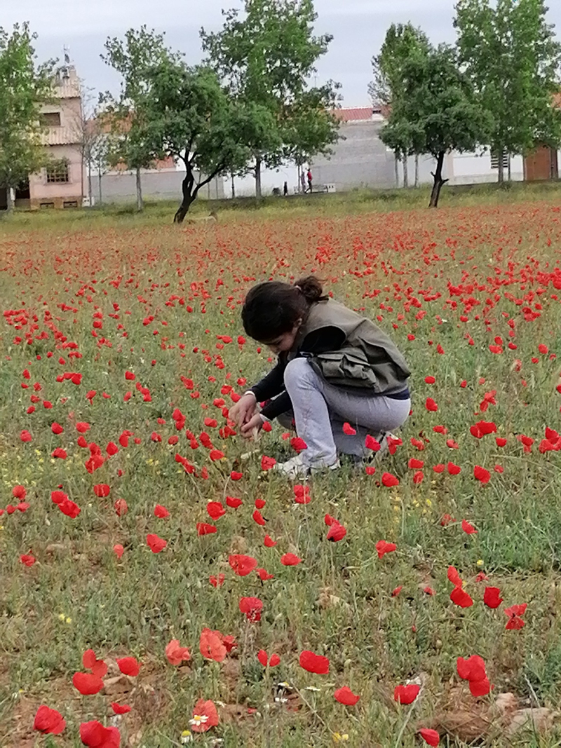 La Consejería de Desarrollo Sostenible lanza el concurso de fotografía con móvil ‘La biodiversidad desde casa’ para concienciar sobre la importancia de su conservación