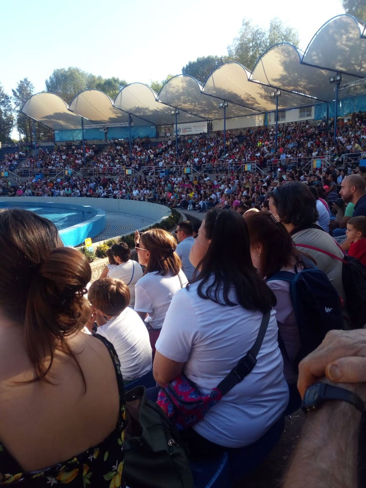 Los chavales de Amfisa visitaron el zoo de Madrid
